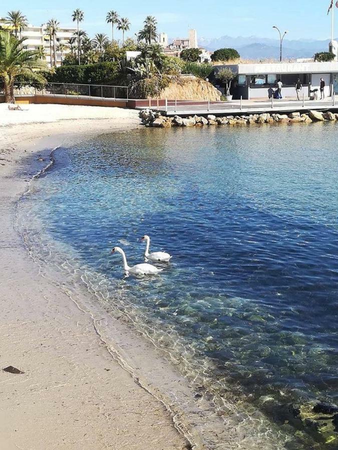 Studio Standing Bord De Mer Et Vue Antibes Exterior foto